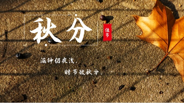 樓上樓門窗 | 白露秋分夜,一夜冷一夜，高端門窗安排上！